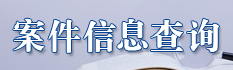 案件信息查询